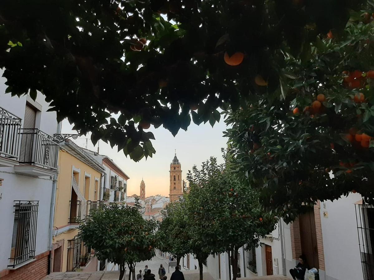 Apartamento Turistico La Vega Antequera Zewnętrze zdjęcie